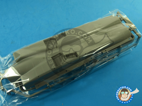 Image 8: McDonnell Douglas F-15 Eagle B / D | Airplane kit in 1/48 scale manufactured by Great Wall Hobby (ref. L4815)