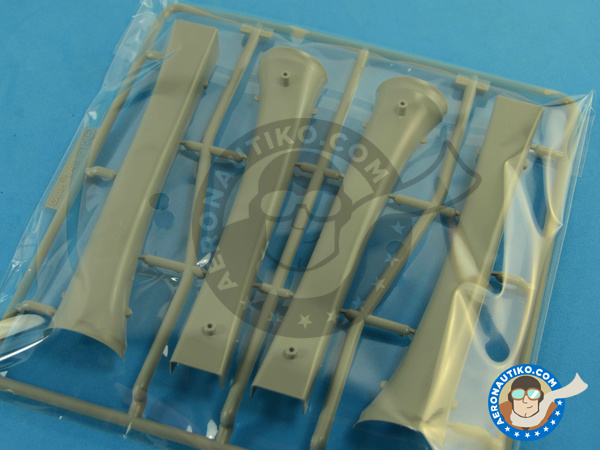 Image 11: McDonnell Douglas F-15 Eagle B / D | Airplane kit in 1/48 scale manufactured by Great Wall Hobby (ref. L4815)