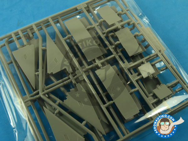 Image 11: McDonnell Douglas F-15 Eagle I | Airplane kit in 1/48 scale manufactured by Great Wall Hobby (ref. L4816)