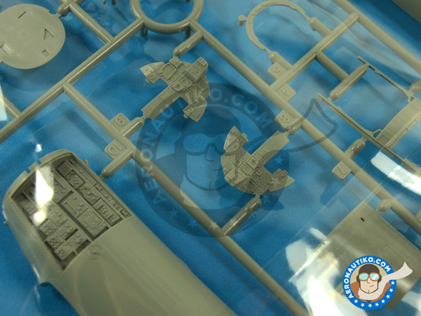 Image 15: McDonnell Douglas F-15 Eagle I | Airplane kit in 1/48 scale manufactured by Great Wall Hobby (ref. L4816)