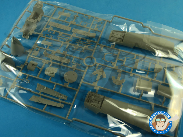 Image 18: McDonnell Douglas F-15 Eagle I | Airplane kit in 1/48 scale manufactured by Great Wall Hobby (ref. L4816)