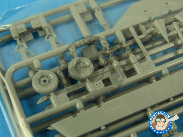 Image 19: McDonnell Douglas F-15 Eagle I | Airplane kit in 1/48 scale manufactured by Great Wall Hobby (ref. L4816)