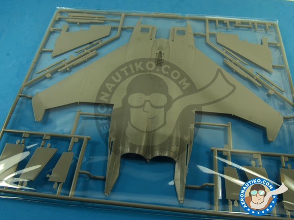 Image 25: McDonnell Douglas F-15 Eagle I | Airplane kit in 1/48 scale manufactured by Great Wall Hobby (ref. L4816)