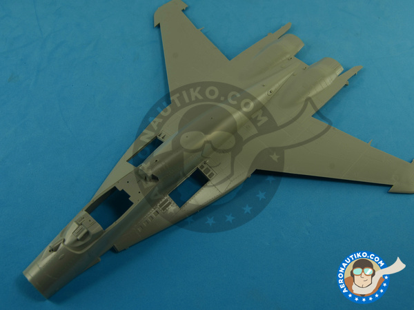 Image 18: Mikoyan MiG-29 Fulcrum 9-19 SMT | Airplane kit in 1/48 scale manufactured by Great Wall Hobby (ref. L4818)