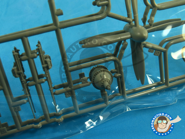 Image 4: Northrop P-61 Black Widow B Last Down | Airplane kit in 1/48 scale manufactured by Great Wall Hobby (ref. S4802)