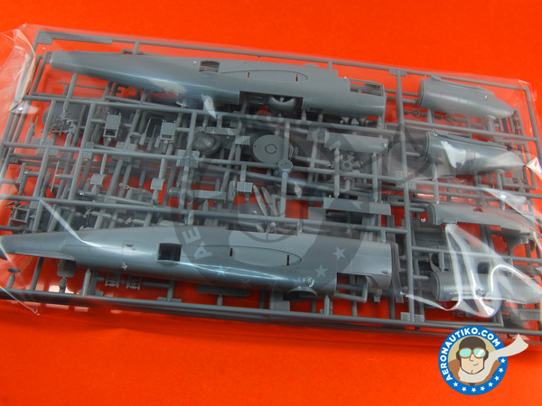 Image 3: North American B-25 Mitchell J | Airplane kit in 1/72 scale manufactured by Hasegawa (ref. 00546)