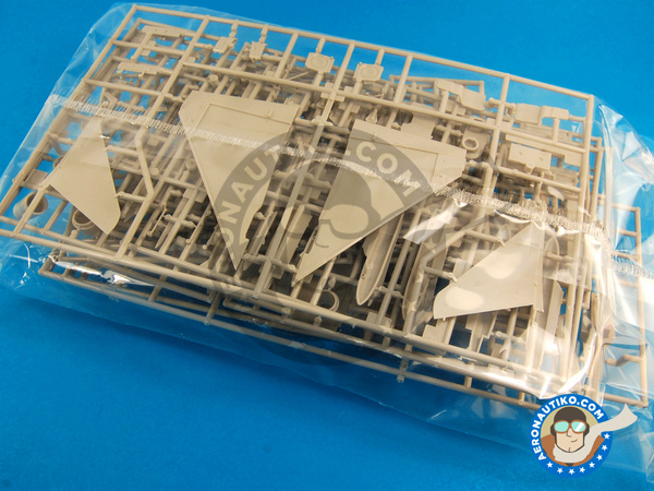 Image 3: Eurofighter Typhoon EF-2000 Single Seater | Airplane kit in 1/72 scale manufactured by Hasegawa (ref. 01570)