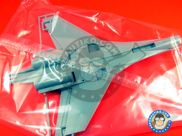 Image 11: Sukhoi Su-35 Flanker S | Airplane kit in 1/72 scale manufactured by Hasegawa (ref. 01574)