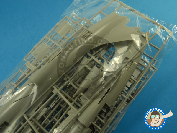 Image 2: Lockheed F-104 Starfighter C | Airplane kit in 1/48 scale manufactured by Hasegawa (ref. 07219)