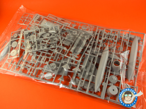 Image 6: McDonnell Douglas F-15 Eagle E | Maqueta de avión en escala 1/48 fabricado por Hasegawa (ref. 07318)