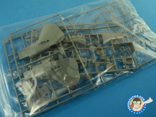 Image 2: Focke-Wulf Fw 190 Würger D-9 Jabo | Airplane kit in 1/32 scale manufactured by Hasegawa (ref. 08223)