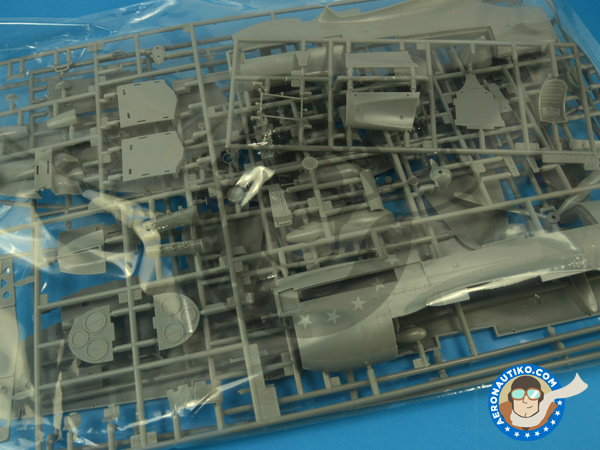 Image 3: Curtiss P-40 Warhawk E / K | Airplane kit in 1/32 scale manufactured by Hasegawa (ref. 08226)