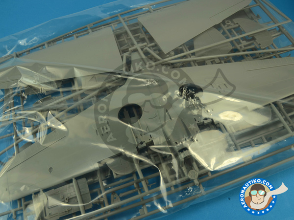 Image 4: Curtiss P-40 Warhawk E / K | Airplane kit in 1/32 scale manufactured by Hasegawa (ref. 08226)