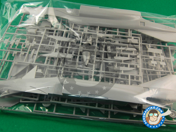 Image 3: McDonnell Douglas F-4 Phantom II VMCJ-2 | Airplane kit in 1/48 scale manufactured by Hasegawa (ref. 09973)