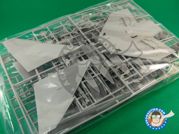 Image 4: McDonnell Douglas F-4 Phantom II VMCJ-2 | Airplane kit in 1/48 scale manufactured by Hasegawa (ref. 09973)