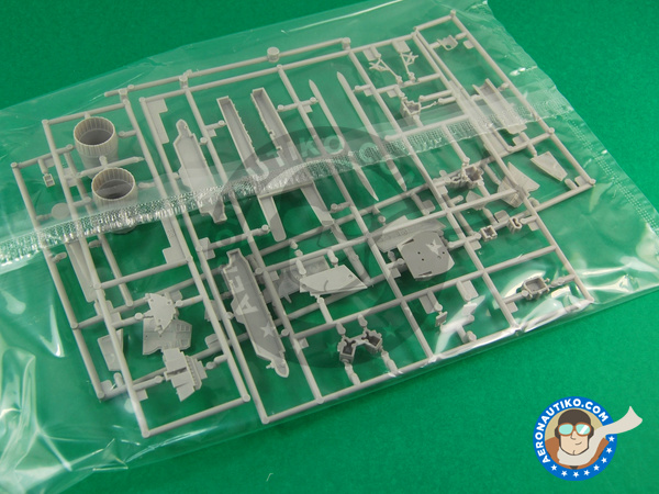 Image 5: McDonnell Douglas F-4 Phantom II VMCJ-2 | Airplane kit in 1/48 scale manufactured by Hasegawa (ref. 09973)