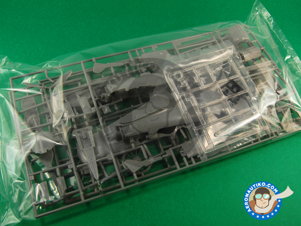 Image 6: Focke-Wulf Fw 190 Würger A-5 / U7 Graf Special | Airplane kit in 1/48 scale manufactured by Hasegawa (ref. 09976)