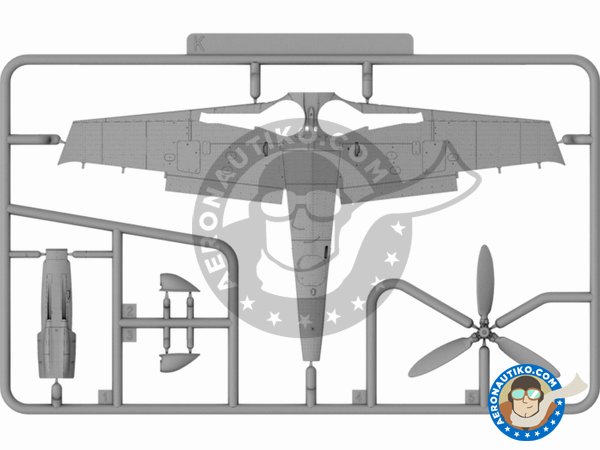 Image 19: Fw 190D-9 Prototype (limited Edition) | Airplane kit in 1/72 scale manufactured by IBG MODELS (ref. 72558)