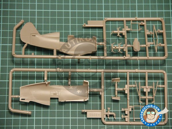 Image 5: I-153 Winter Version | Airplane kit in 1/48 scale manufactured by ICM (ref. 48096)