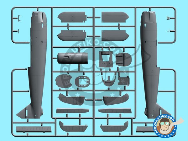 Image 2: Hs 126A-1 with bomb rack | Airplane kit in 1/48 scale manufactured by ICM (ref. 48213)