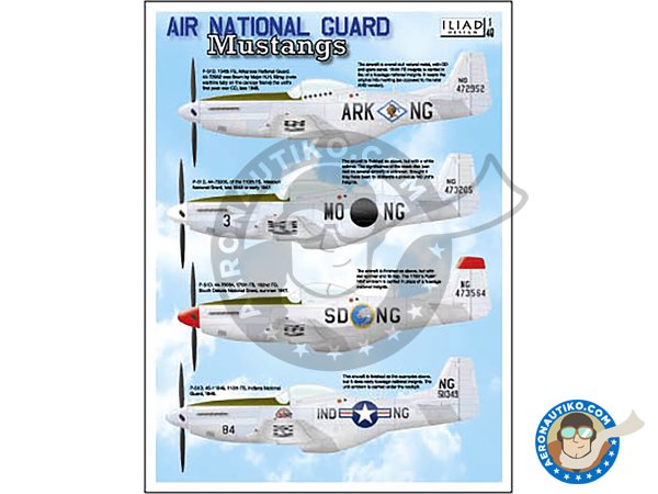 Image 1: North American P-51D "Mustang" Air National Guard | Decals in 1/48 scale manufactured by ILIAD DESING (ref. 48024)
