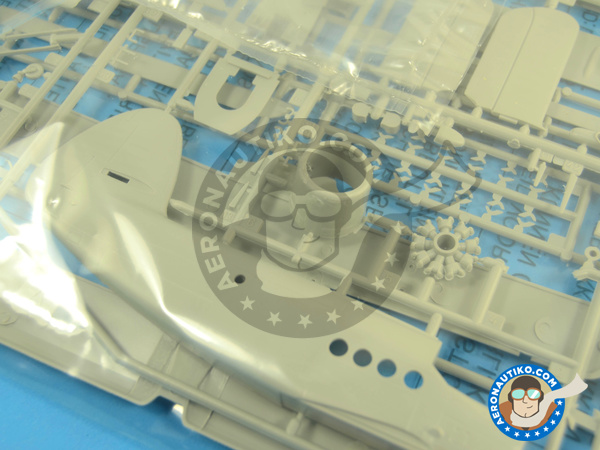 Image 4: Antonov An-2 | Airplane kit in 1/72 scale manufactured by Italeri (ref. 1367)