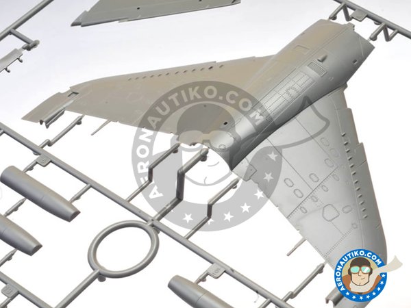 Image 3: T-Harrier. Harrier T2/T2A/T2N/T4/T4N/T8 Two Seater Trainer | Airplane kit in 1/48 scale manufactured by Kinetic Model Kits (ref. K48040)