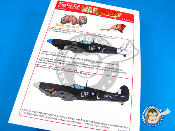 Image 1: Supermarine Spitfire Mk VIII |  in 1/48 scale manufactured by Kits World (ref. KW148078)