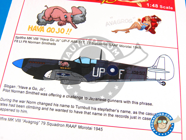 Image 3: Supermarine Spitfire Mk VIII |  in 1/48 scale manufactured by Kits World (ref. KW148078)