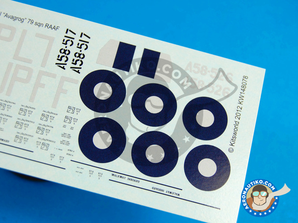 Image 8: Supermarine Spitfire Mk VIII |  in 1/48 scale manufactured by Kits World (ref. KW148078)