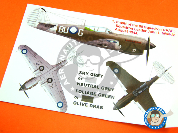 Image 4: Curtiss P-40 Warhawk N | Masks in 1/48 scale manufactured by Montex Mask (ref. K48142)