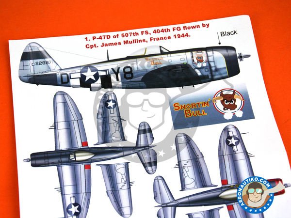 Image 4: Republic P-47 Thunderbolt D Bubble Top | Masks in 1/48 scale manufactured by Montex Mask (ref. K48143)