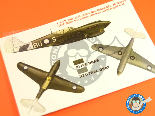 Image 3: Curtiss P-40 Warhawk N | Masks in 1/48 scale manufactured by Montex Mask (ref. K48263)