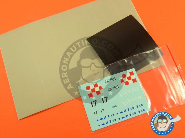 Image 1: Curtiss P-40 Warhawk E | Masks in 1/48 scale manufactured by Montex Mask (ref. K48269)