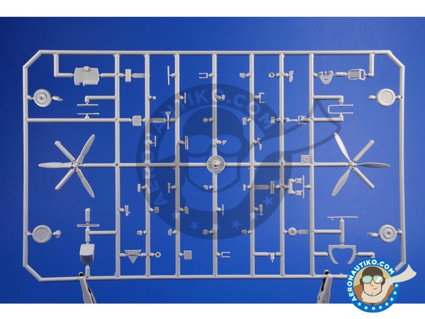 Image 3: SB2A-4 Buccaneer 'US Marines Bomber' | Airplane kit in 1/72 scale manufactured by Special Hobby (ref. SH72303)