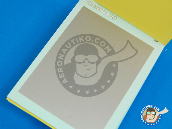 Image 1: Silver | Decals manufactured by Tameo Kits (ref. DG11)