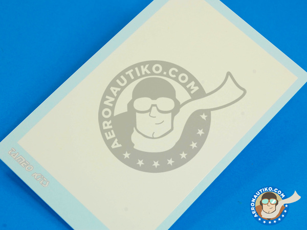 Image 1: Glossy White - 70 x 110 mm | Decals manufactured by Tameo Kits (ref. DG14)