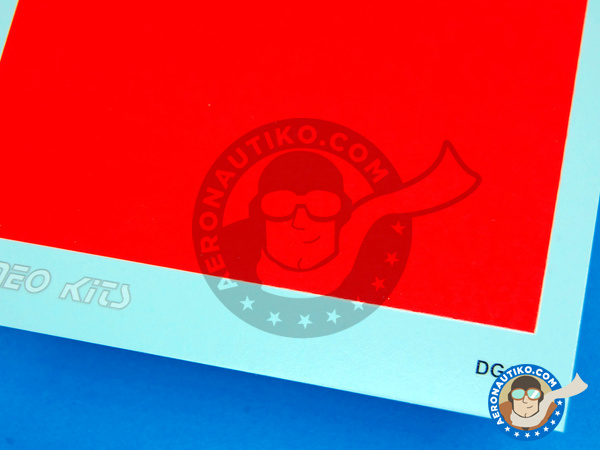 Image 1: 70 x 110 mm Fluo Red | Decals manufactured by Tameo Kits (ref. DG18)