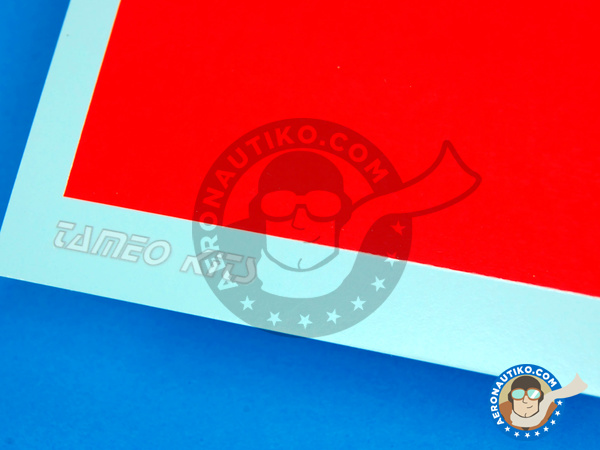 Image 2: 70 x 110 mm Fluo Red | Decals manufactured by Tameo Kits (ref. DG18)