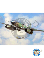 Hobby Boss: Airplane kit 1/48 scale - Messerschmitt Me 262 Schwalbe A-2a/U2 - plastic parts, water slide decals and assembly instructions